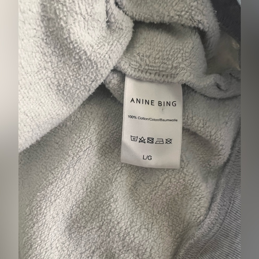 Anine Bing Sport Light Gray Tyler Hoodie - Picture 6 of 9